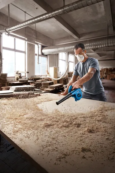 Bosch GBL 650 Blower