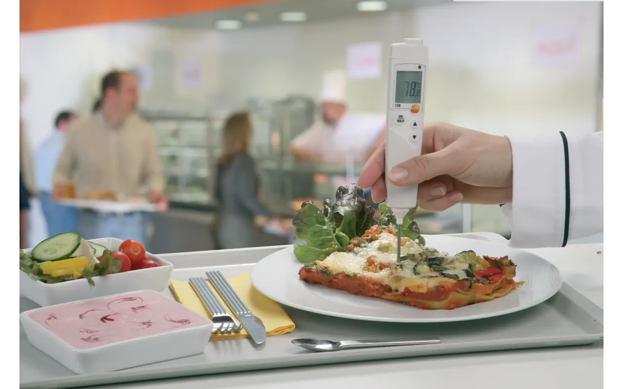 Testo 106 Food Thermometer