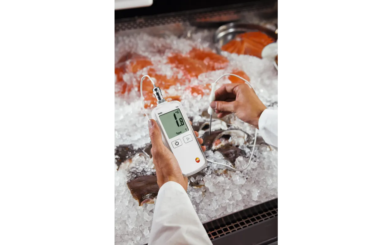 Testo 108-2 - Temperature measuring instrument with lockable probe